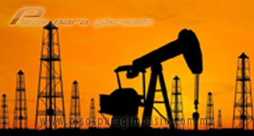 industria quimica y petroquimica PISOS PARA GIMNASIO